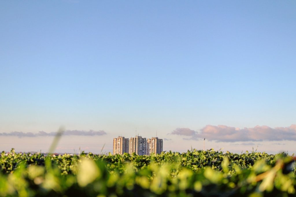 Materiales sustentables, la siguiente generación de la construcción